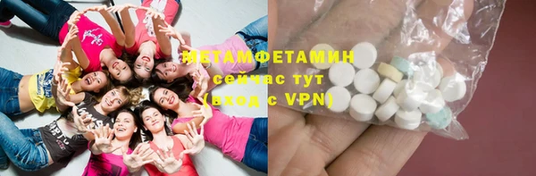 прущие грибы Новодвинск