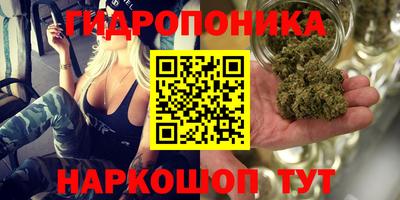 ГАЛЛЮЦИНОГЕННЫЕ ГРИБЫ Гай