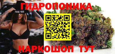 наркотики Гатчина